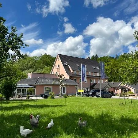 Obere Saege Schoemberg (Zollernalbkreis)